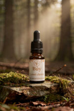 Lesní chrám od Búy Aroma