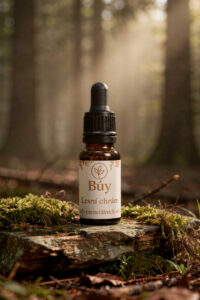 Lesní chrám od Búy Aroma