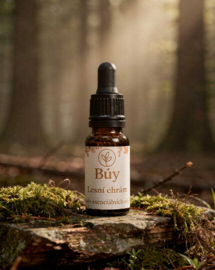 Lesní chrám od Búy Aroma