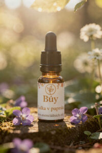 Fialka v paprsku od Búy Aroma